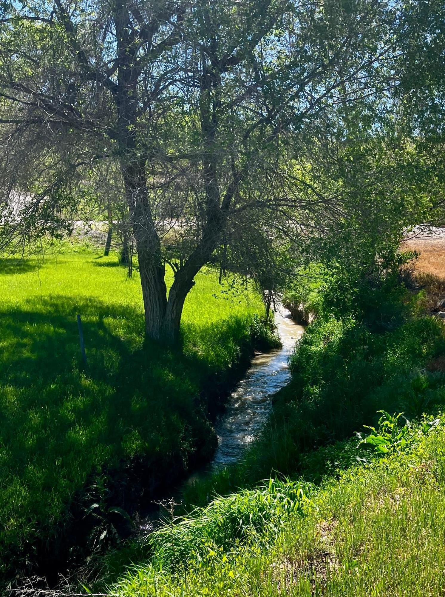 Let'S Go ! Fisherman, Families, Pools One Minute From Your Door, Comfort, Location Perfect, Amenity-Rich, Pup Friendly, Discover An Exceptional Wyoming Stay, Thermopolis River Walk Home At Hot Springs State Park, 'Where Families And Fisherman Stay' Exteriér fotografie