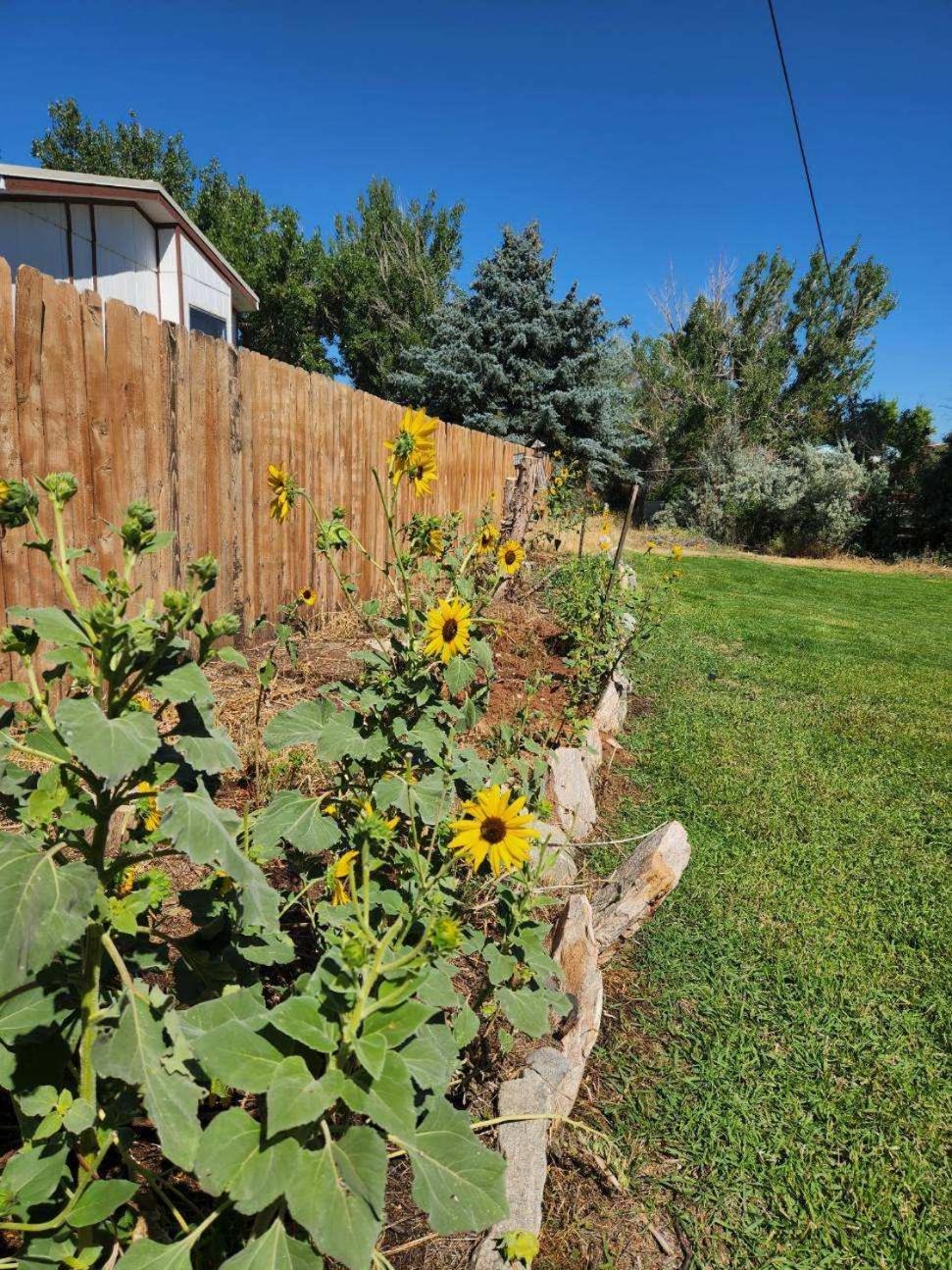 Let'S Go ! Fisherman, Families, Pools One Minute From Your Door, Comfort, Location Perfect, Amenity-Rich, Pup Friendly, Discover An Exceptional Wyoming Stay, Thermopolis River Walk Home At Hot Springs State Park, 'Where Families And Fisherman Stay' Exteriér fotografie